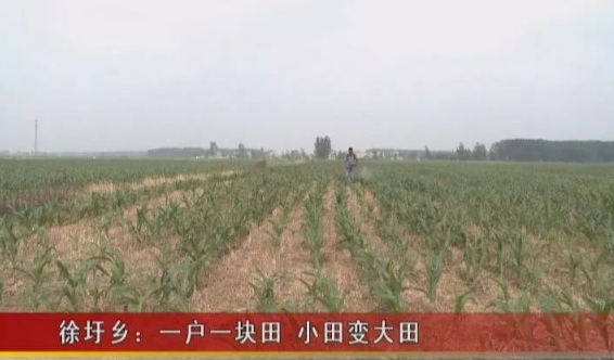 乡村振兴频道讯：乡村振兴，人才、就业是关键！(图4)