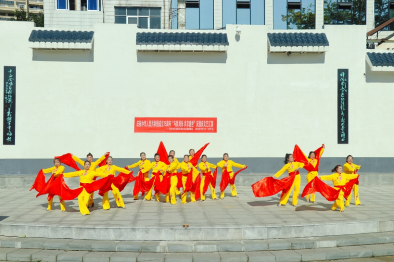 公益报道：妙舞艺术团国庆汇演大放异彩(图5)