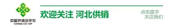 <strong>河北特色农产品供销大集走进省会‌‌——供销系统协同聚力 促消</strong>