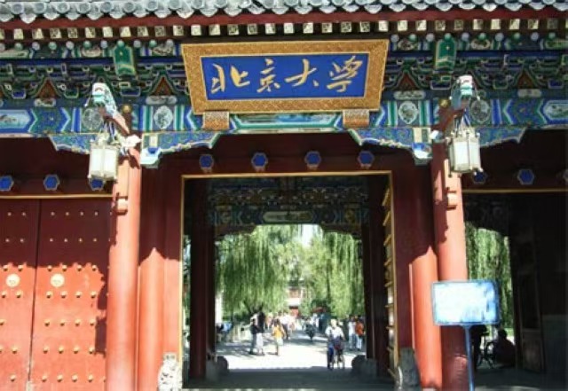 <strong>北京大学</strong>